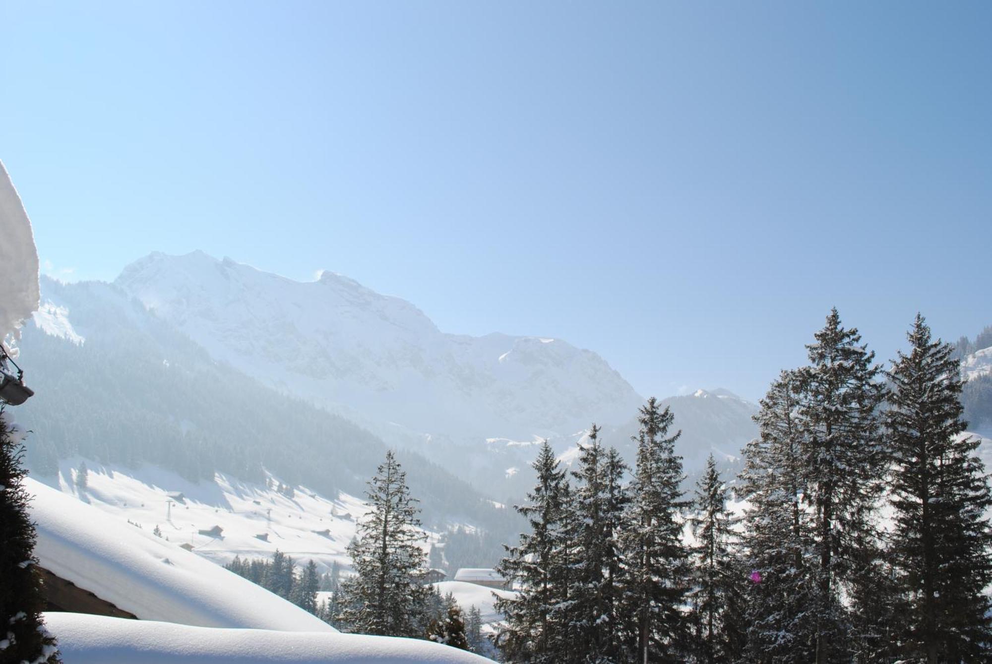 Apartment Nadeschda Adelboden Extérieur photo